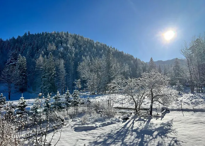 Rezydencja OWCA NA SZLAKU Zakopane
